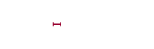  PRIME Logo